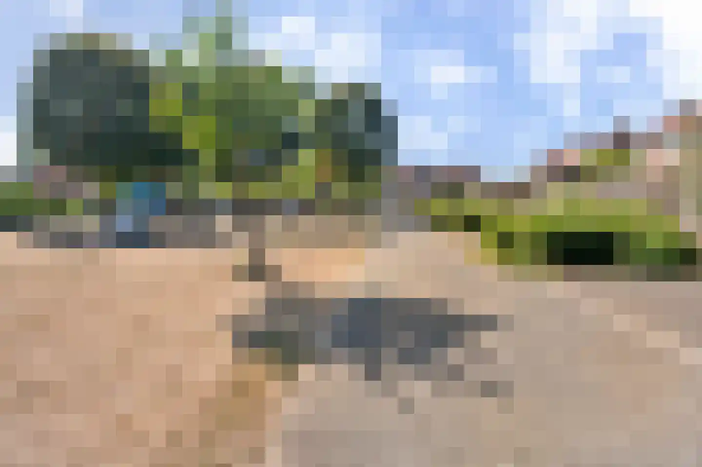 Stalpaert van der Wielestraat 21 Venlo thumbnail 31