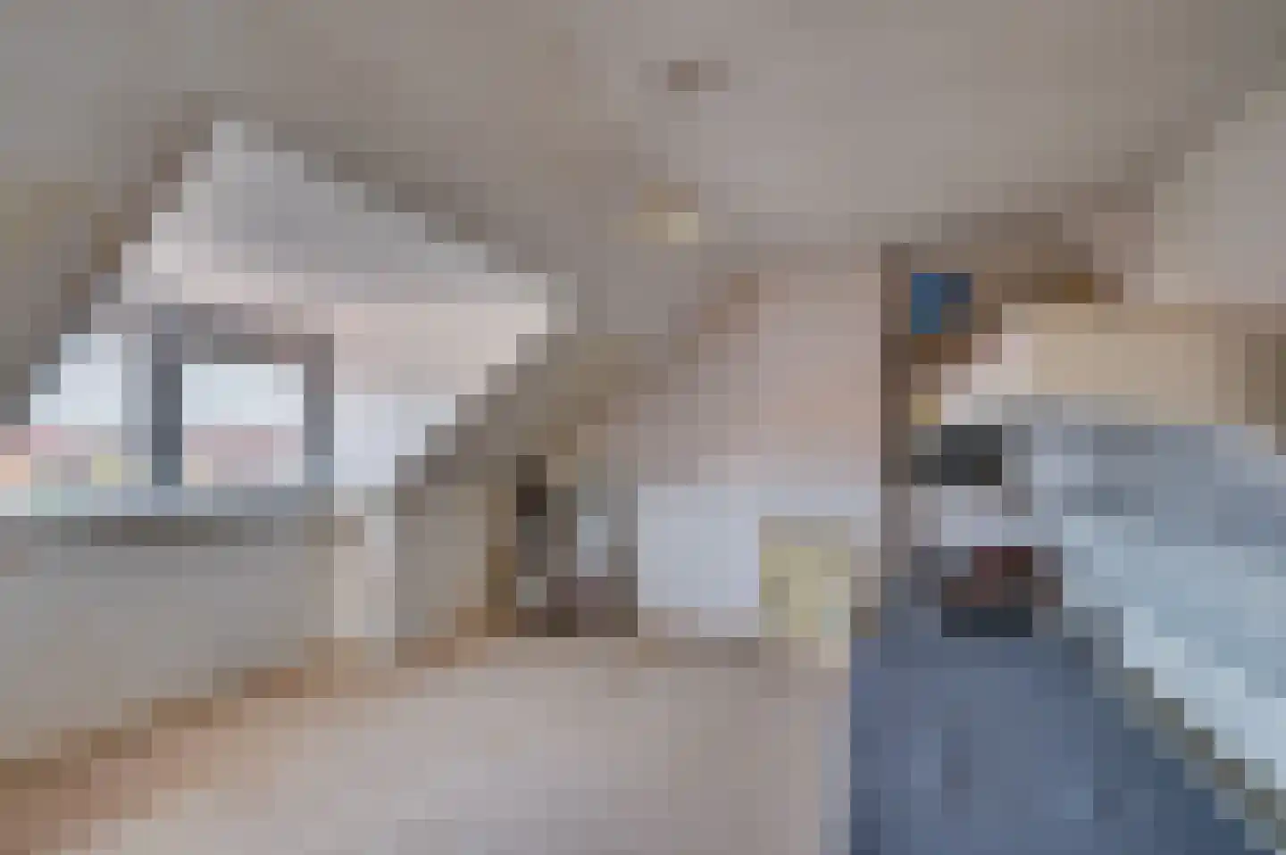 Stalpaert van der Wielestraat 26 Venlo thumbnail 29