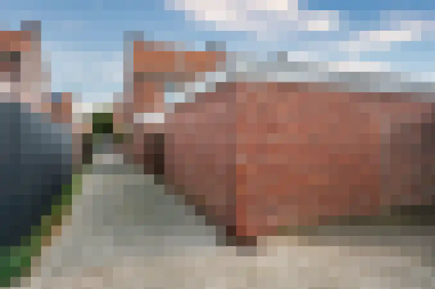 Stalpaert van der Wielestraat 26 Venlo thumbnail 39