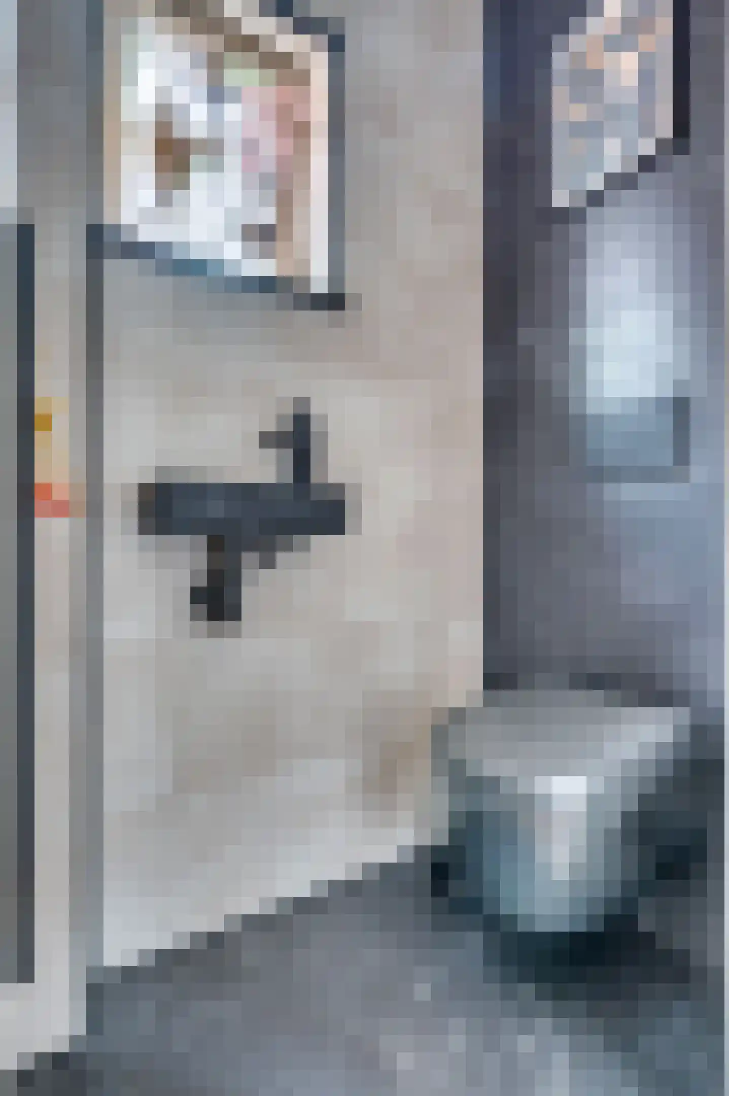 Stalpaert van der Wielestraat 26 Venlo thumbnail 6