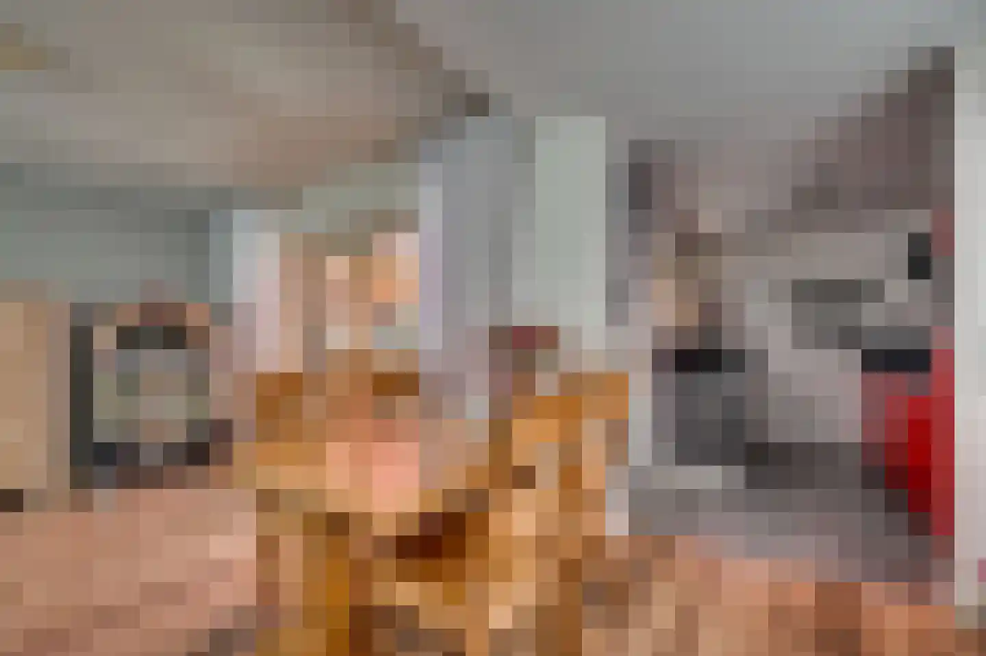 Stalpaert van der Wielestraat 26 Venlo thumbnail 8