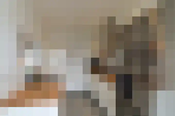 Stalpaert van der Wielestraat 31 Venlo thumbnail 10
