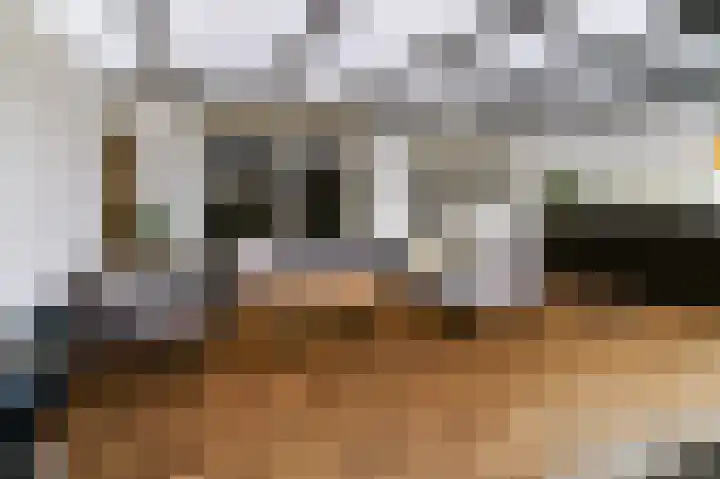 Stalpaert van der Wielestraat 31 Venlo thumbnail 14