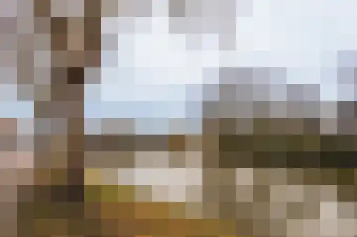 Stalpaert van der Wieleweg 12 Delft thumbnail 34