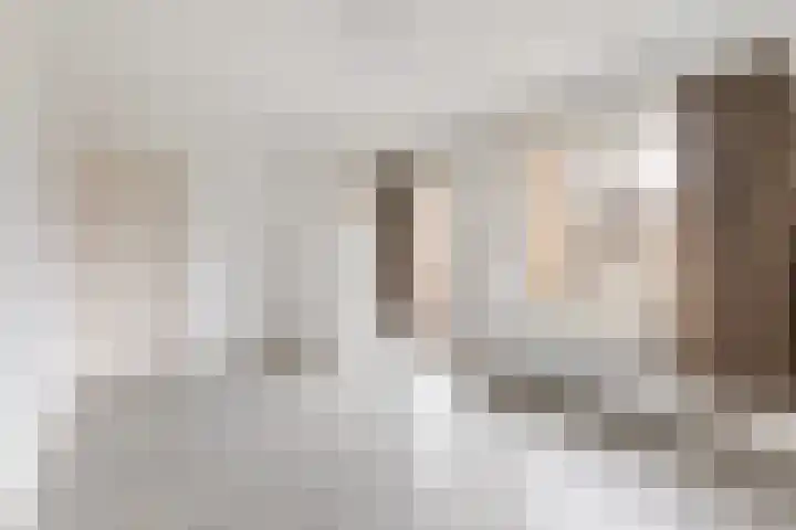 Stalpaertstraat 10 Hilversum thumbnail 19