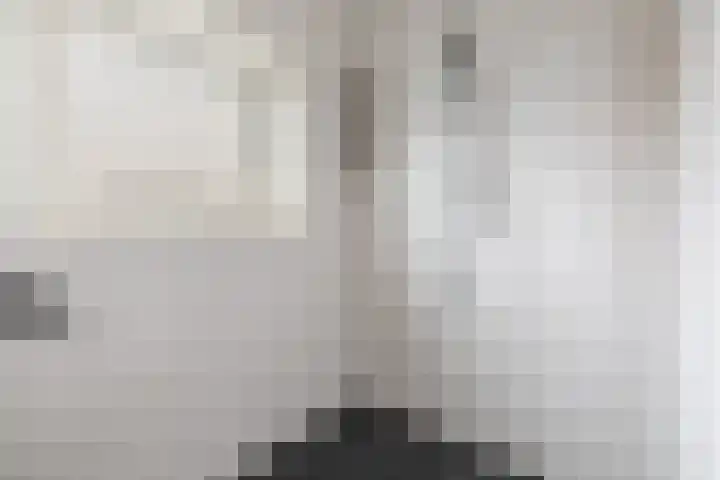 Stalpaertstraat 10 Hilversum thumbnail 22