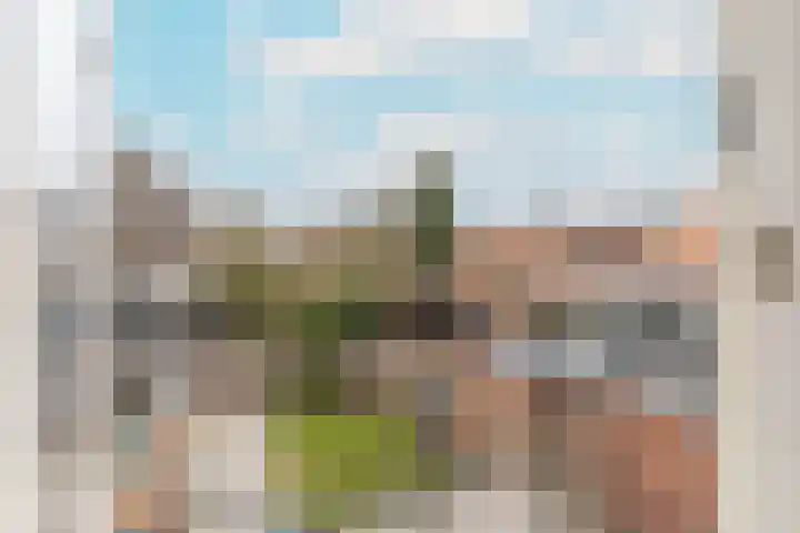 Stalpaertstraat 10 Hilversum thumbnail 27