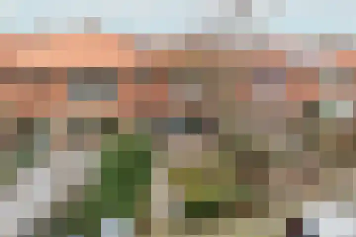 Stalpaertstraat 10 Hilversum thumbnail 33