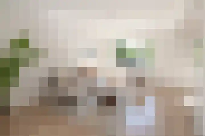 Stalpaertstraat 153 Hilversum thumbnail 5