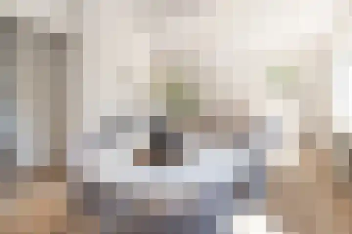 Stalpaertstraat 153 Hilversum thumbnail 8