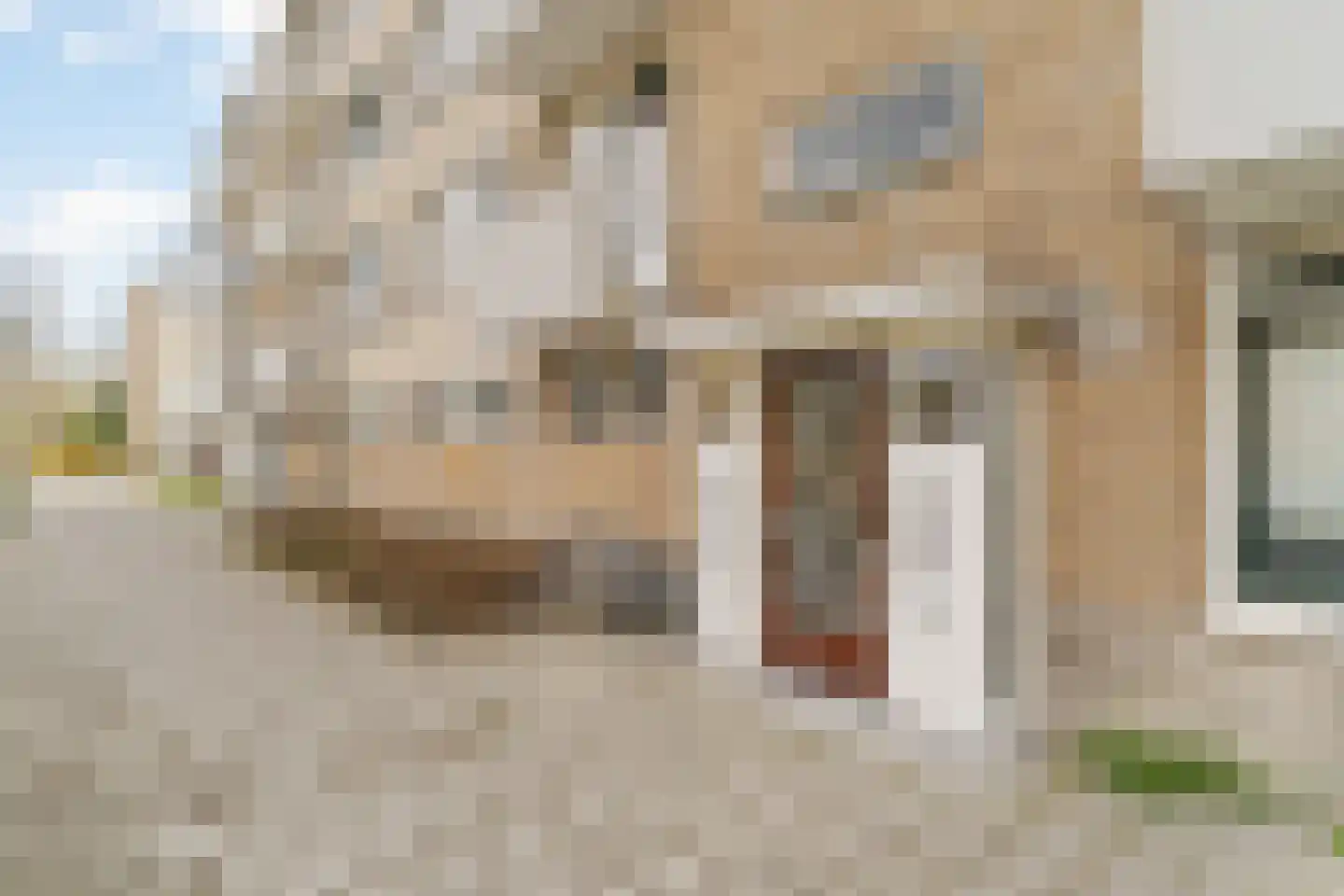 Stalpaertstraat 36 Rotterdam thumbnail 6