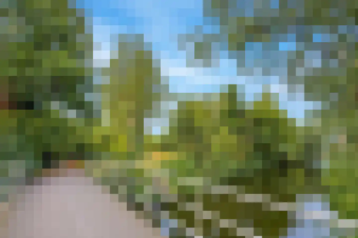 Stalpaertstraat 41 Alkmaar thumbnail 42