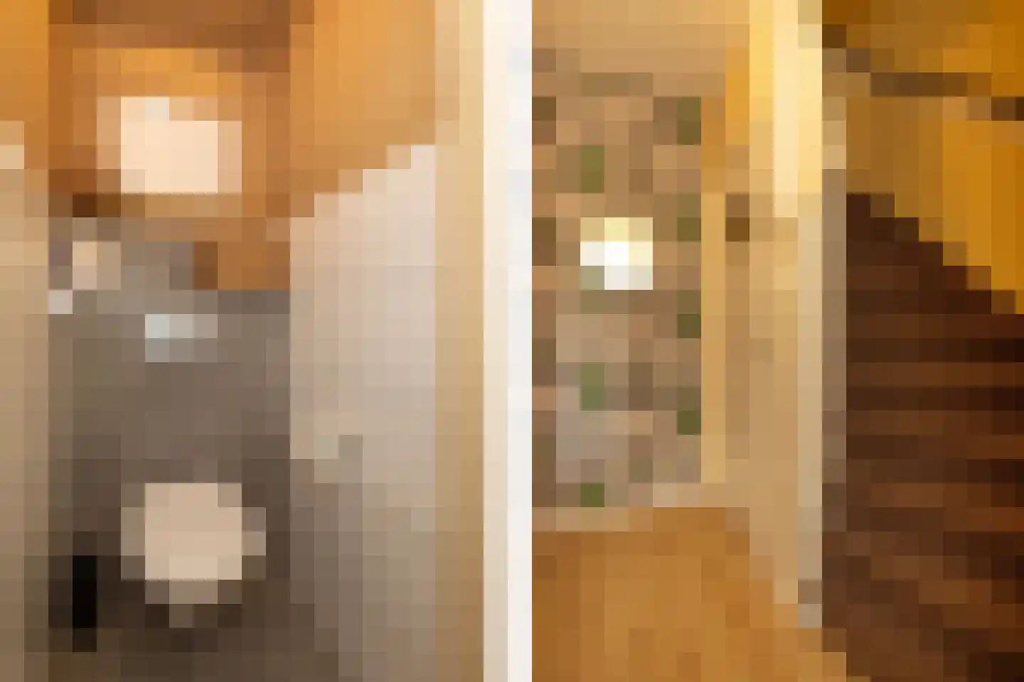 Stalpaertstraat 45 Hilversum thumbnail 12