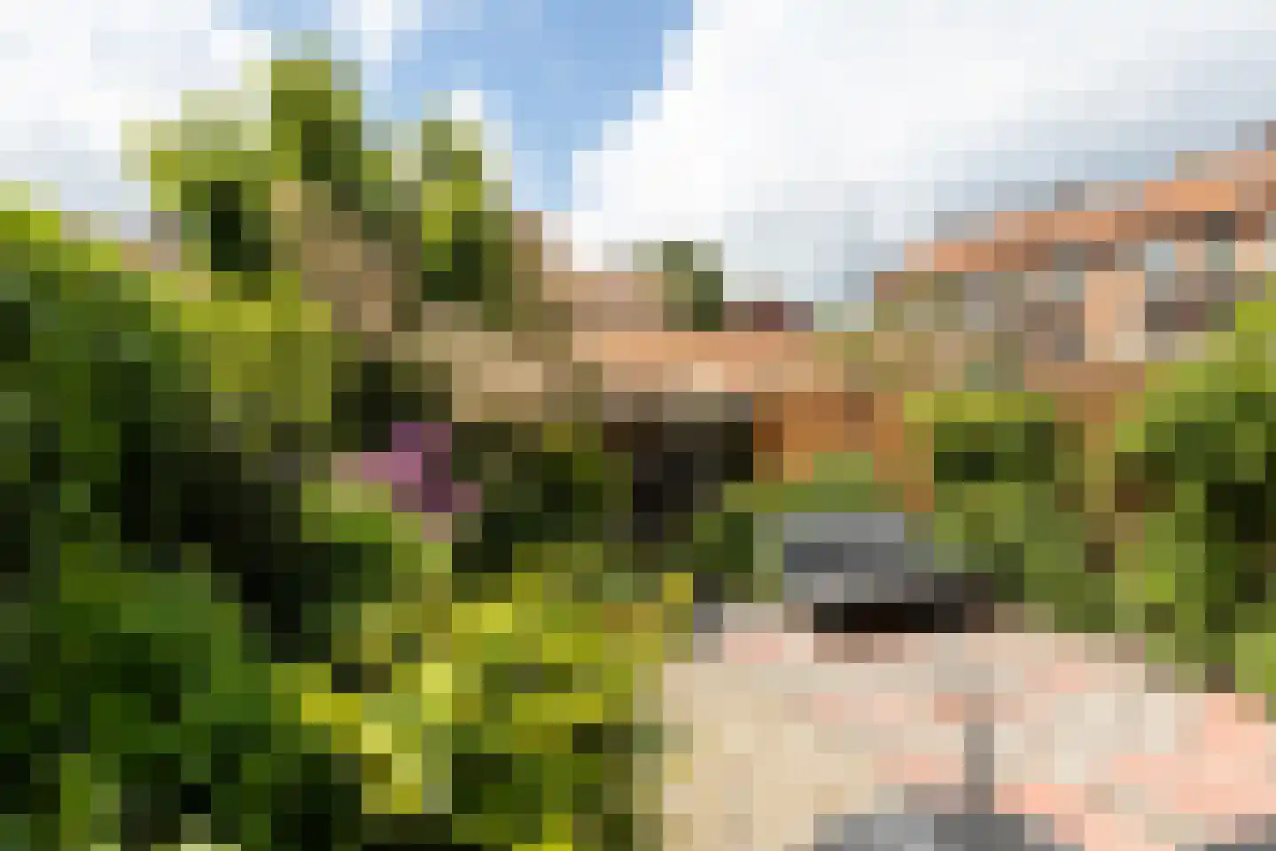 Stalpaertstraat 45 Hilversum thumbnail 25