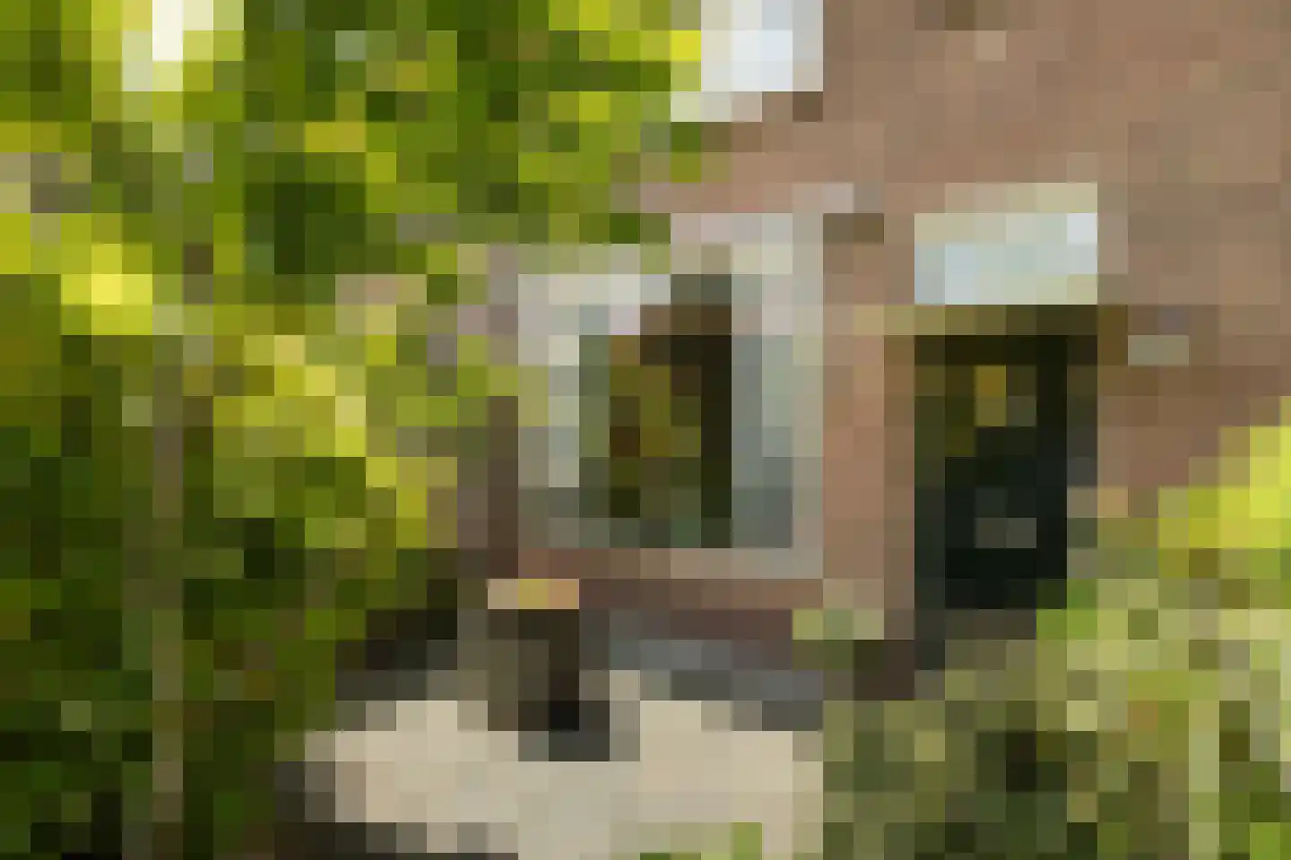 Stalpaertstraat 45 Hilversum thumbnail 30