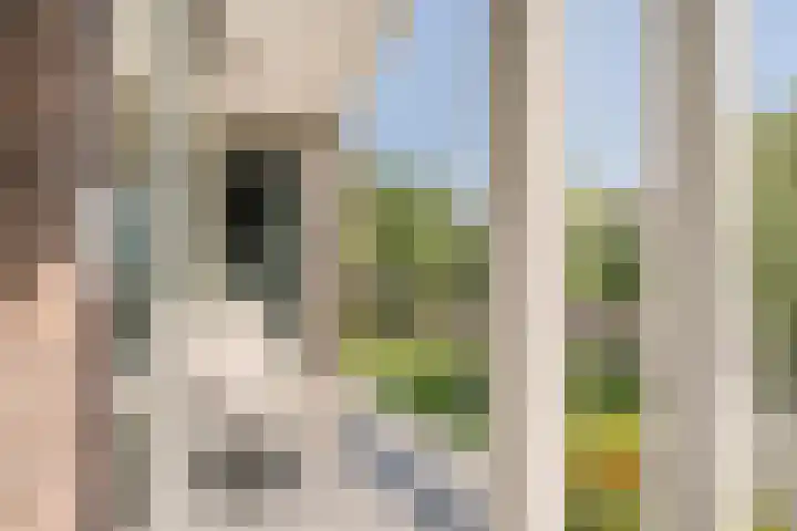 Stalpaertstraat 59 Alkmaar thumbnail 5