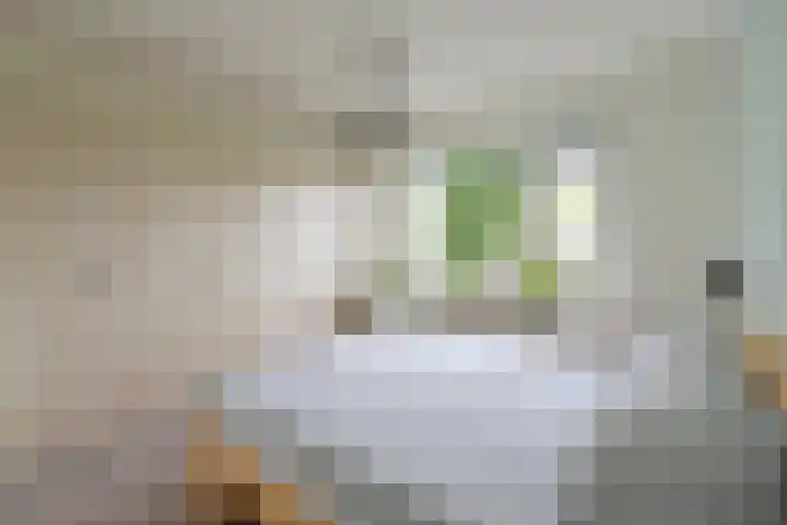 Stalpaertstraat 65 Hilversum thumbnail 10