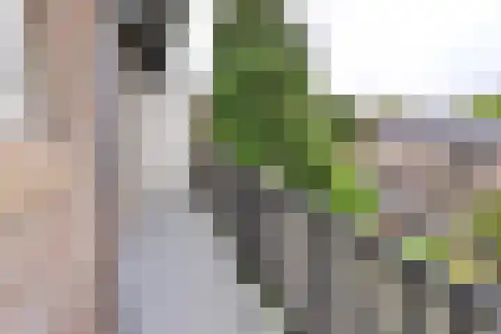 Stalpaertstraat 65 Hilversum thumbnail 14