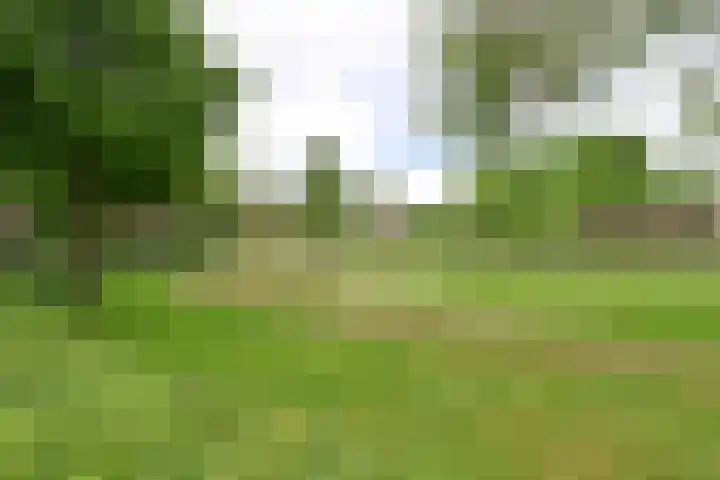 Stalpaertstraat 65 Hilversum thumbnail 15