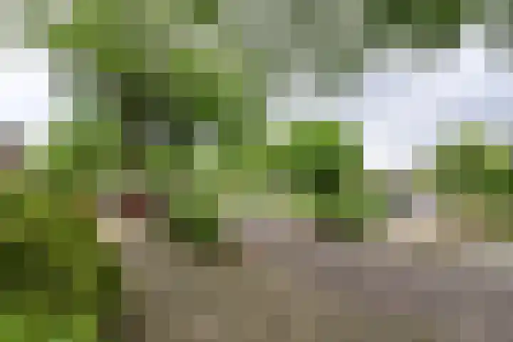 Stalpaertstraat 65 Hilversum thumbnail 17