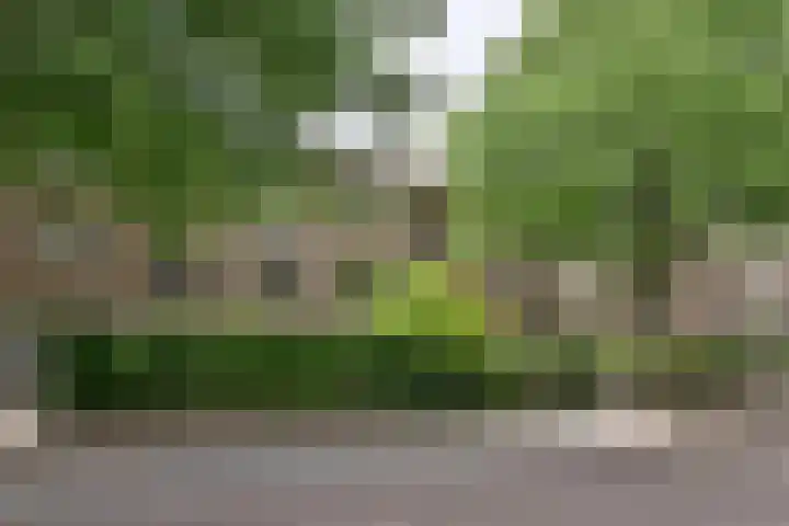 Stalpaertstraat 65 Hilversum thumbnail 19