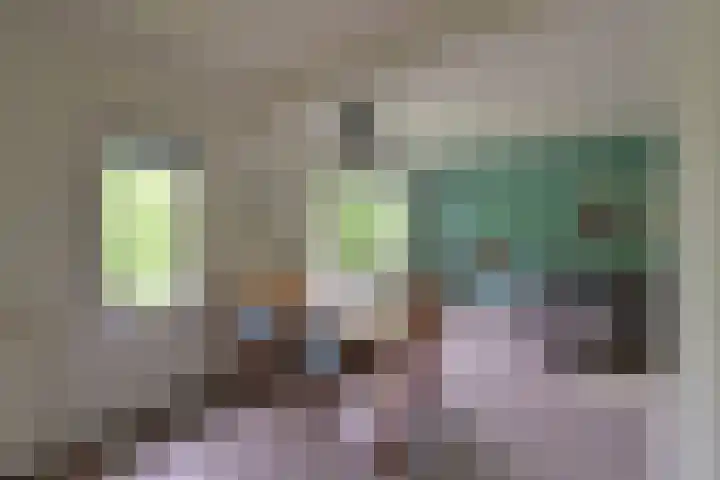 Stalpaertstraat 65 Hilversum thumbnail 5