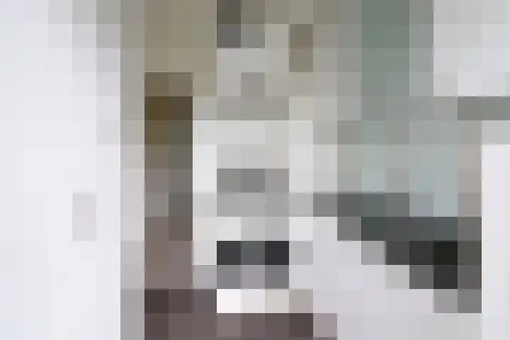 Stalpaertstraat 65 Hilversum thumbnail 6
