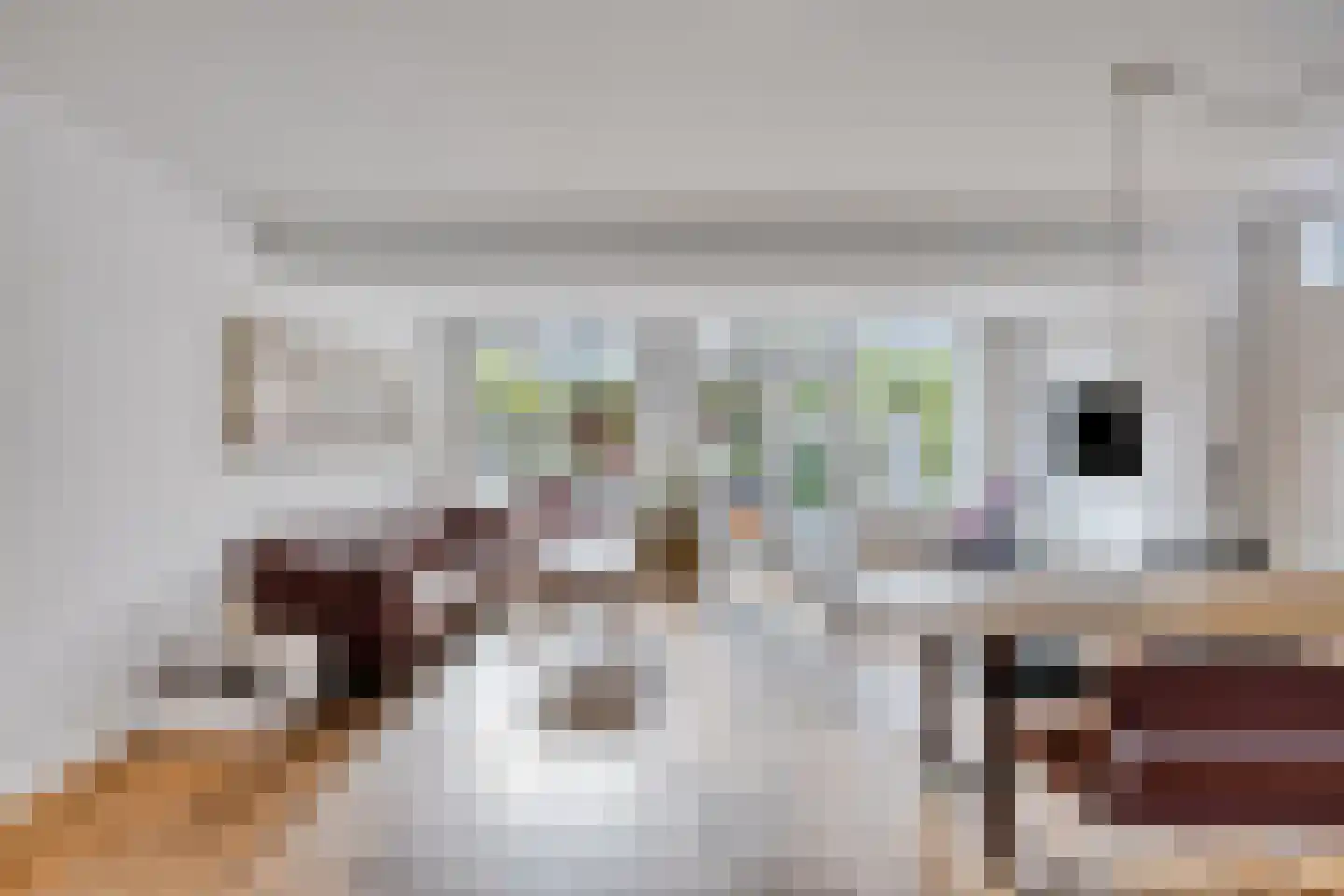Stalpaertstraat 70 Alkmaar thumbnail 9