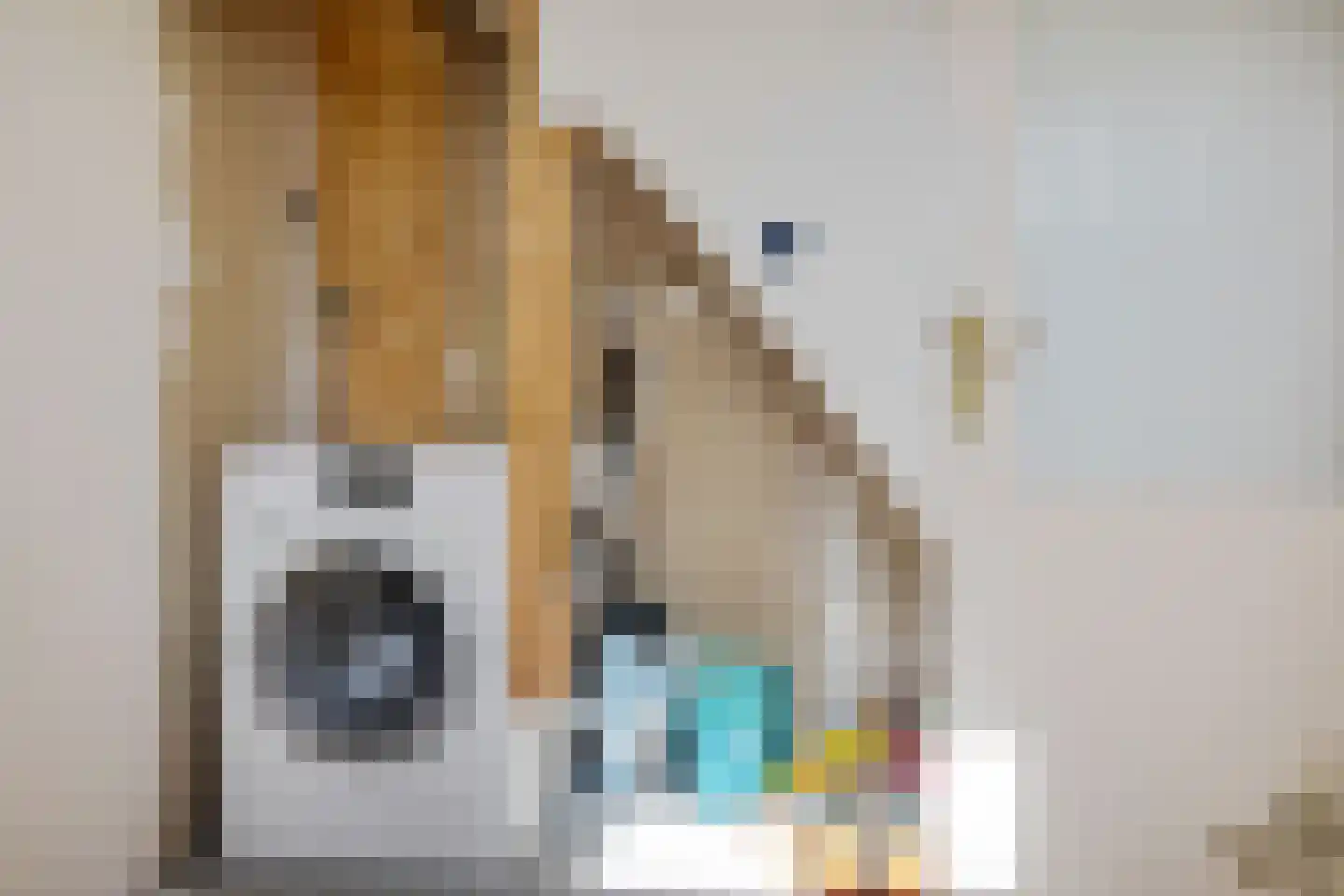 Stalpaertstraat 96 Alkmaar thumbnail 14