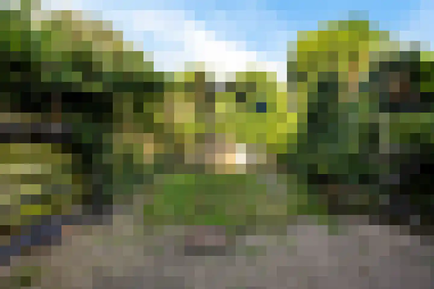 Stalpaertstraat 96 Alkmaar thumbnail 34
