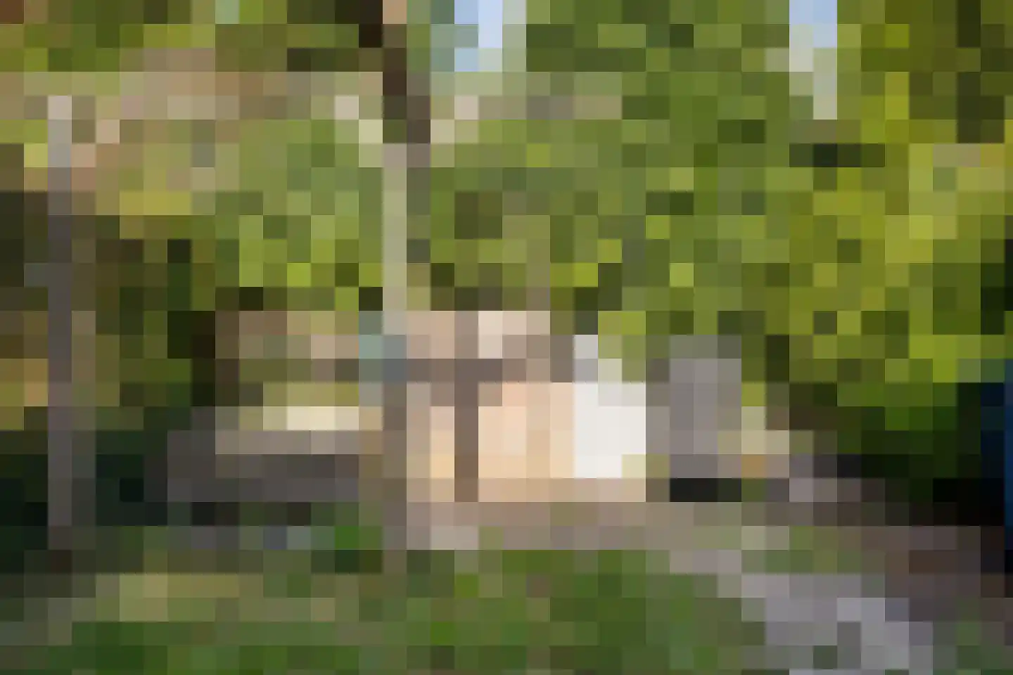 Stalpaertstraat 96 Alkmaar thumbnail 36
