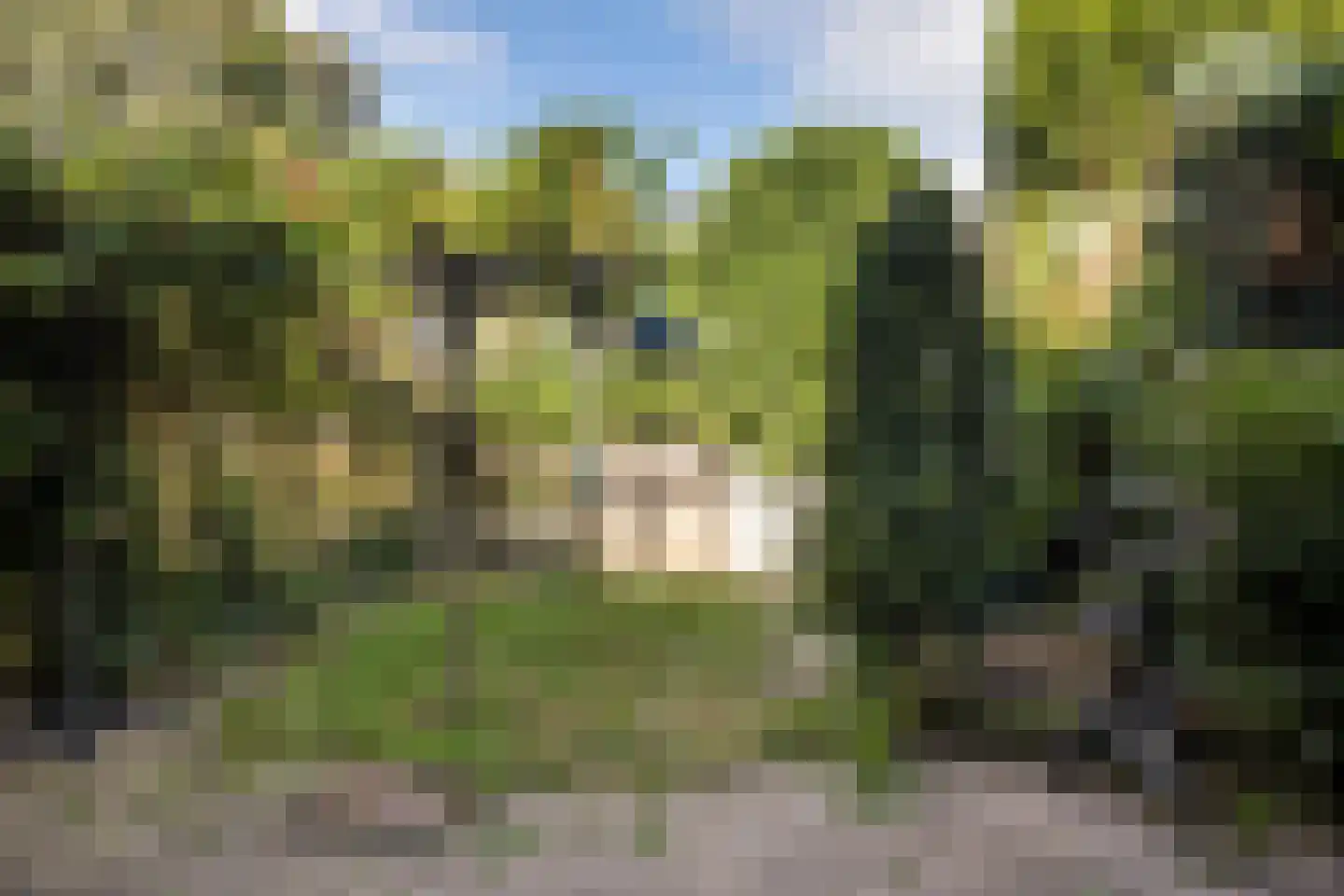 Stalpaertstraat 96 Alkmaar thumbnail 37