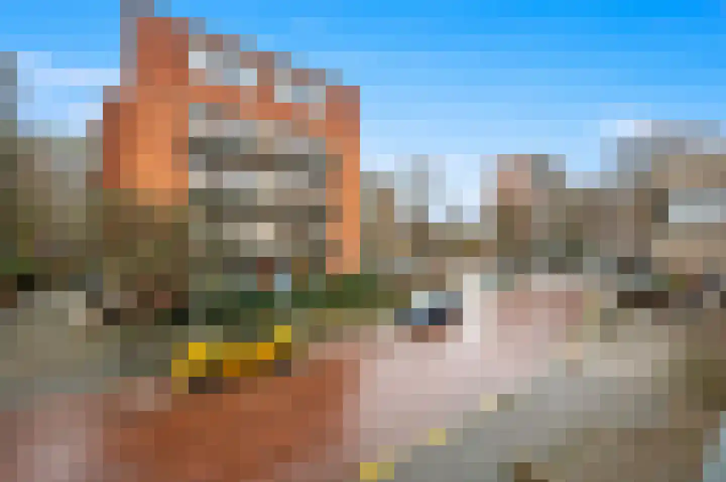 Stalpertstraat 135 Den Haag thumbnail 23