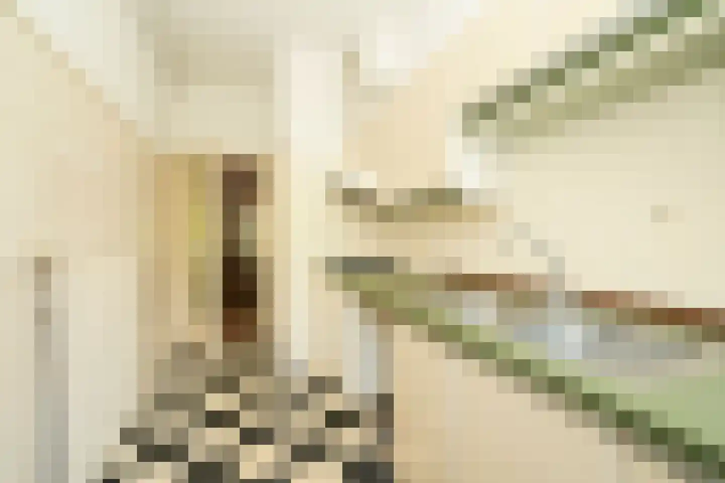 Stalpertstraat 158 Den Haag thumbnail 18