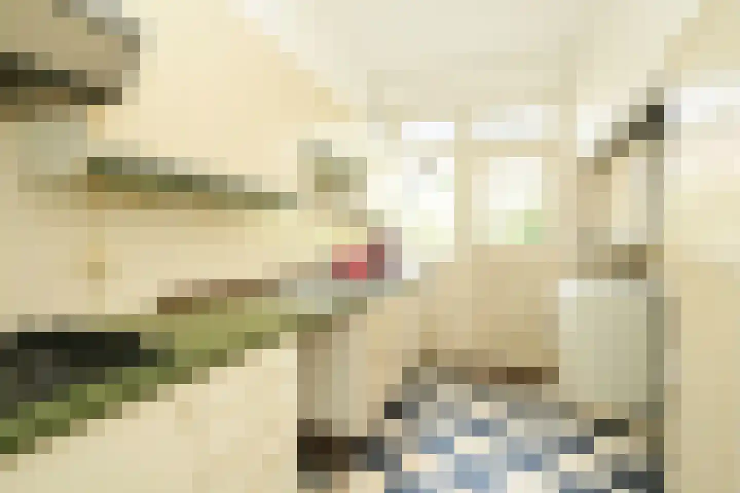 Stalpertstraat 158 Den Haag thumbnail 6