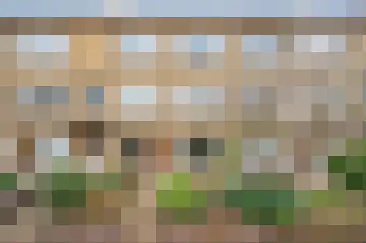 Stalpertstraat 44 in Den Haag