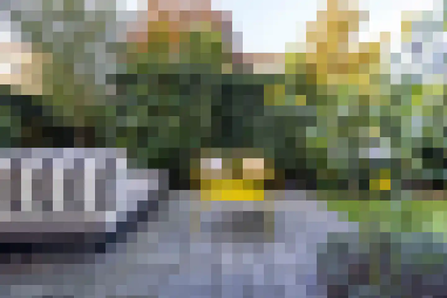 Stalpertstraat 53 Den Haag thumbnail 30