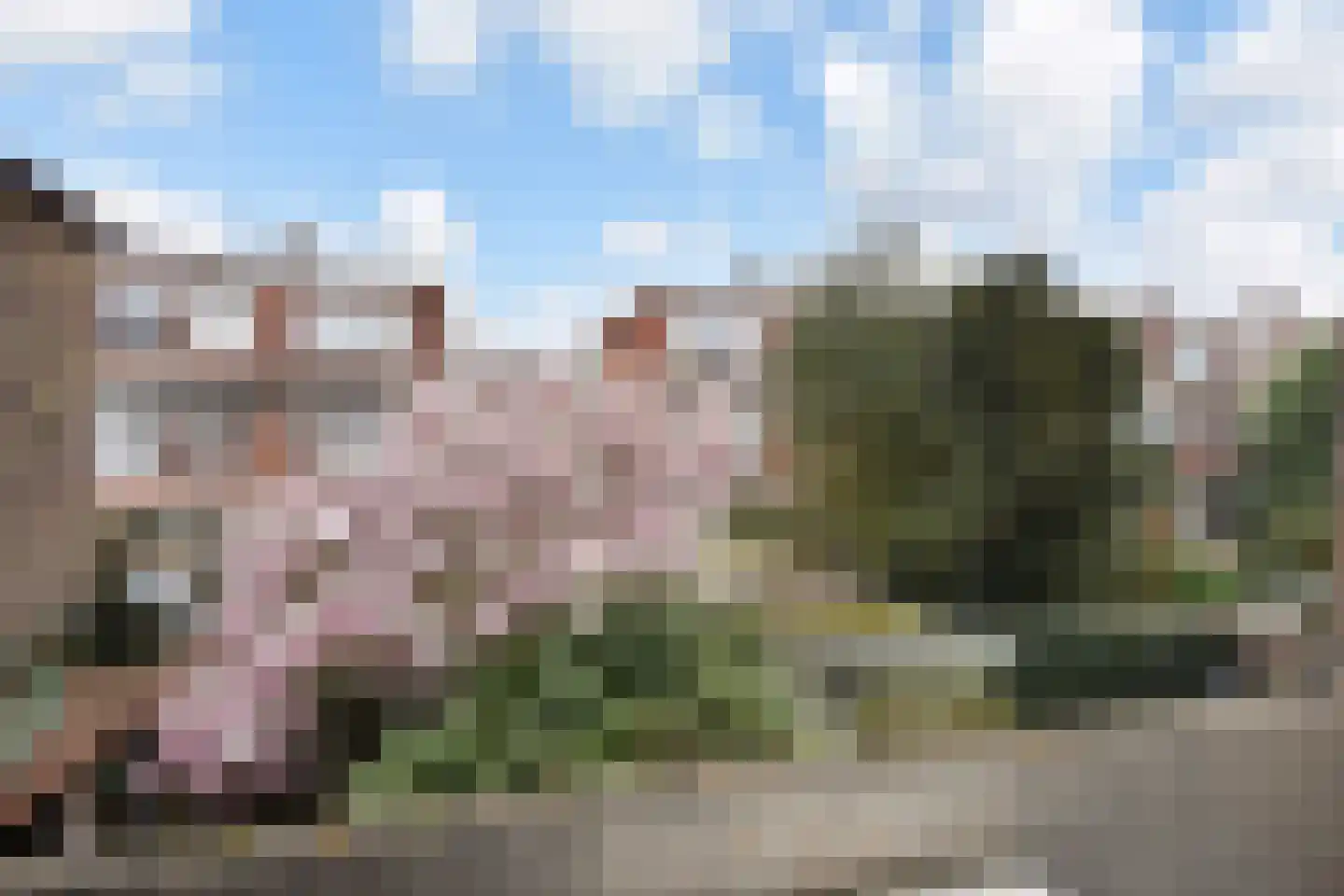 Stalpertstraat 91 Den Haag thumbnail 4
