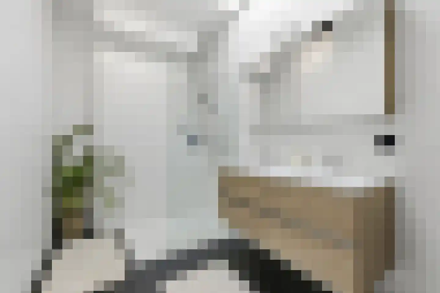 Stalpertstraat 99 Den Haag thumbnail 52