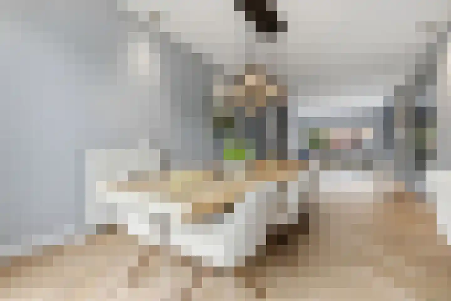 Stalpertstraat 99 Den Haag thumbnail 8