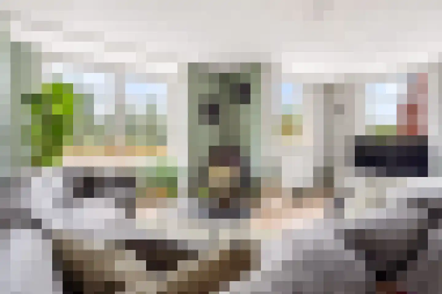Stalreep 102 Uden thumbnail 10