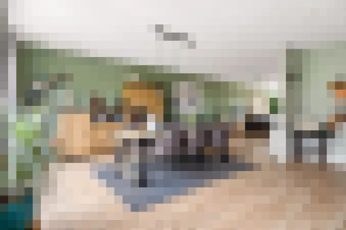 Stalreep 102 Uden thumbnail 13
