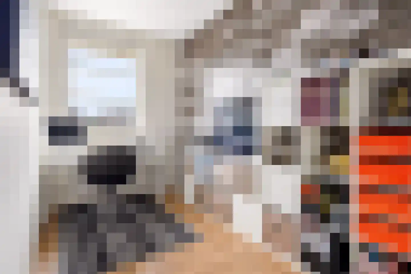 Stalreep 102 Uden thumbnail 25