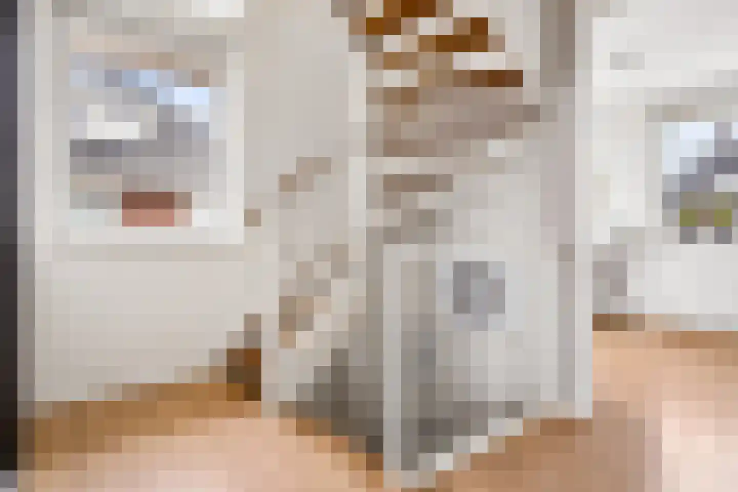 Stalreep 102 Uden thumbnail 29