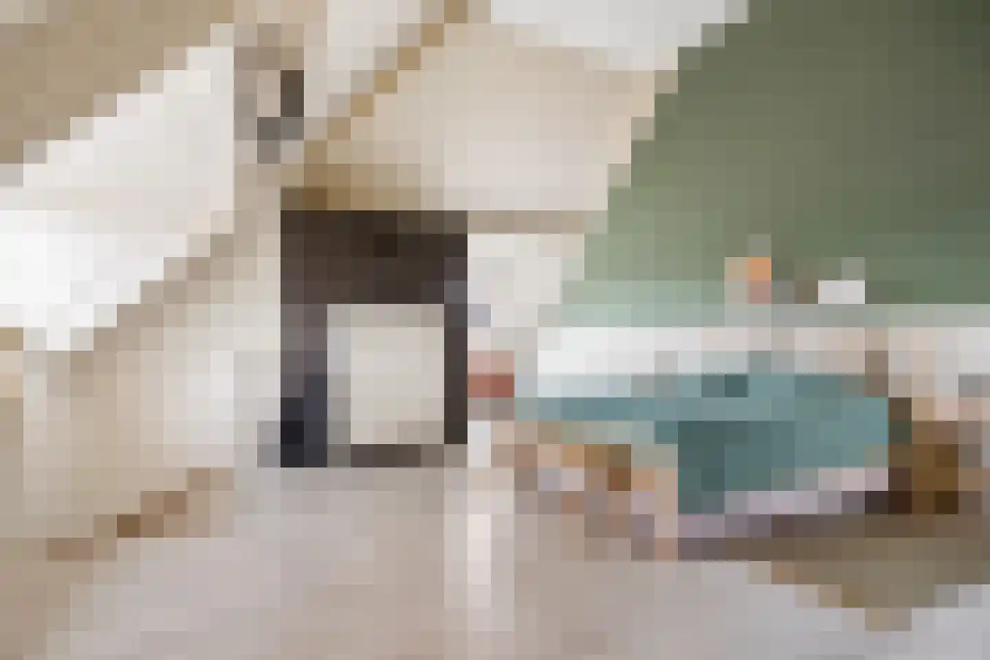 Stalreep 102 Uden thumbnail 31