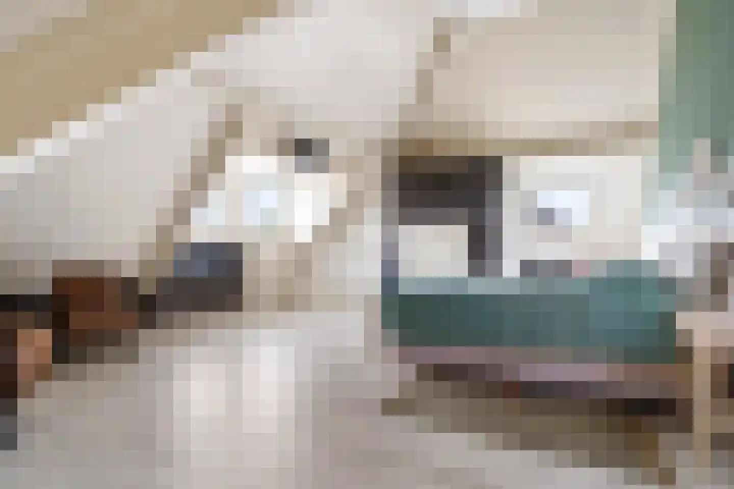 Stalreep 102 Uden thumbnail 32