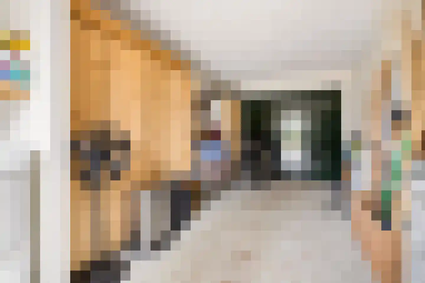 Stalreep 102 Uden thumbnail 33