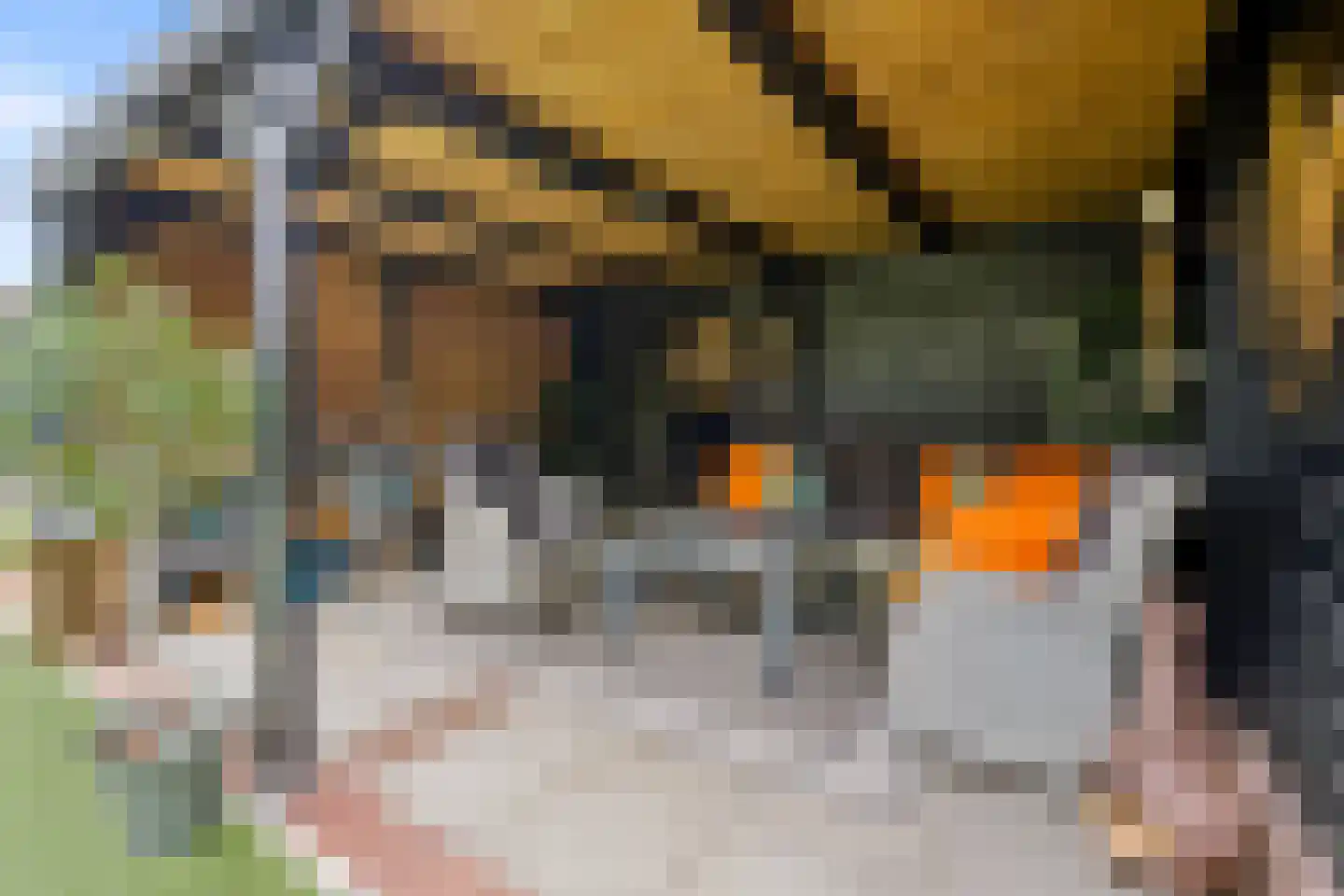 Stalreep 102 Uden thumbnail 40
