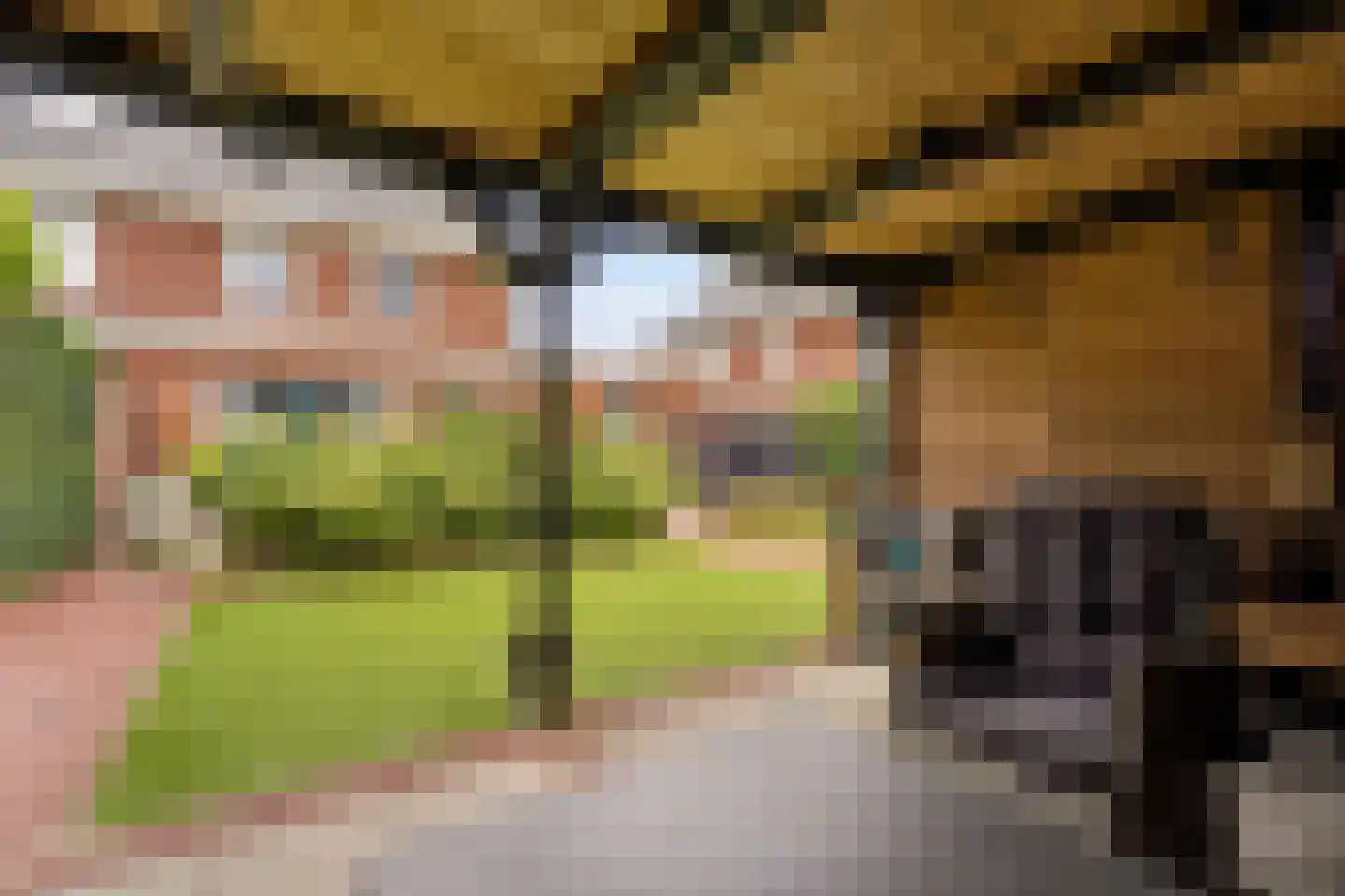 Stalreep 102 Uden thumbnail 41