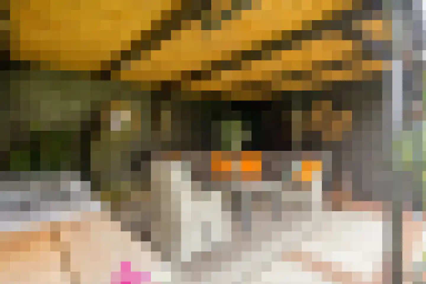 Stalreep 102 Uden thumbnail 42